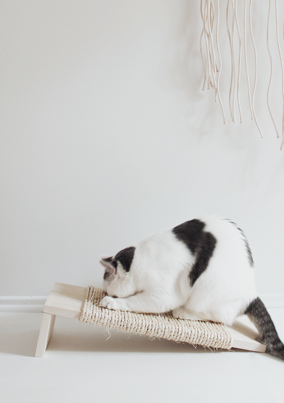 Claw Control: The DIY Cat Scratching Post
